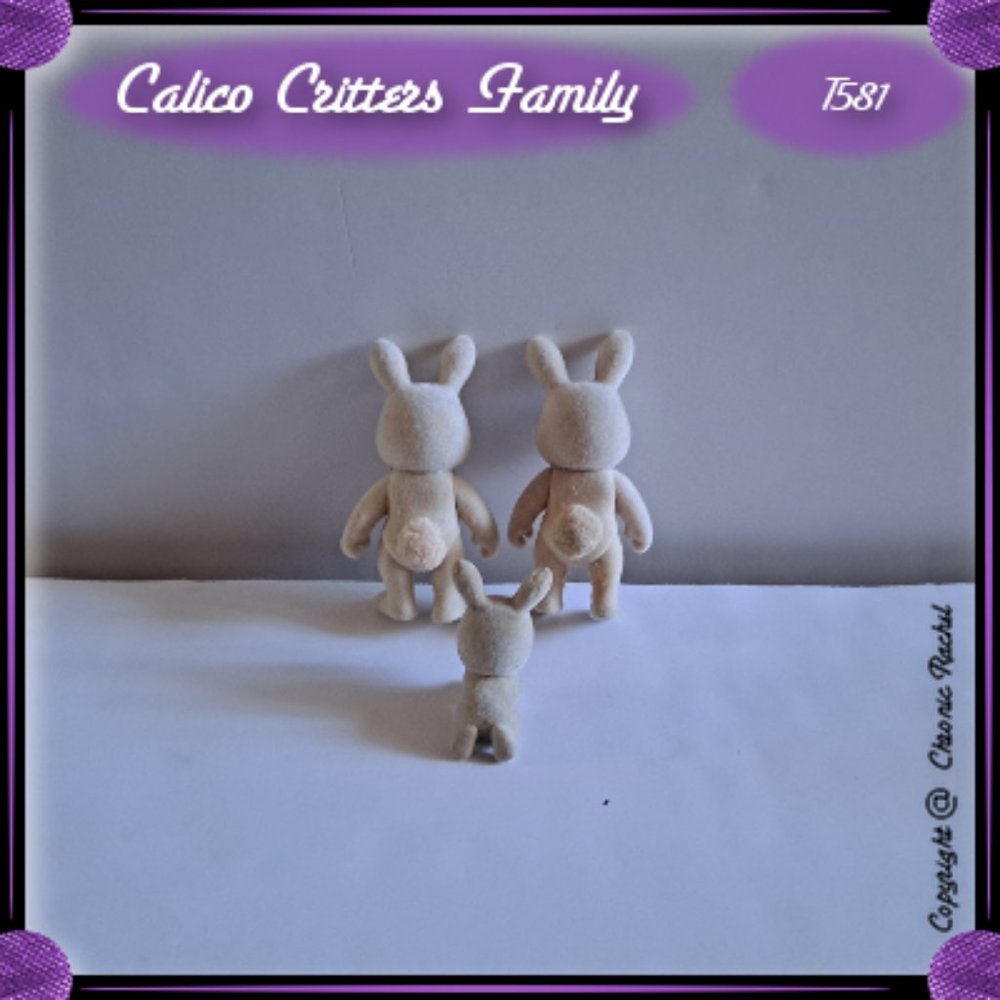 Milk Rabbits Family - Picture 3 of 5